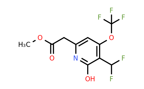1805923-18-5 | Methyl 3-(difluoromethyl)-2-hydroxy-4-(trifluoromethoxy)pyridine-6-acetate