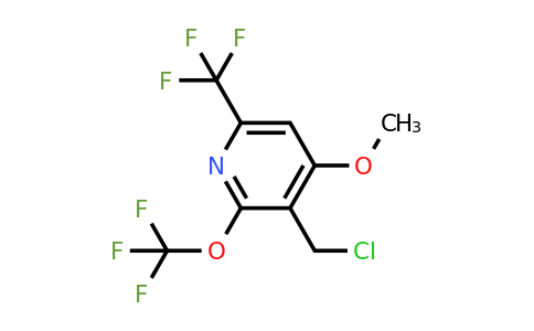 1805995-23-6 | 3-(Chloromethyl)-4-methoxy-2-(trifluoromethoxy)-6-(trifluoromethyl)pyridine