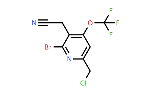 1806095-49-7 | 2-Bromo-6-(chloromethyl)-4-(trifluoromethoxy)pyridine-3-acetonitrile