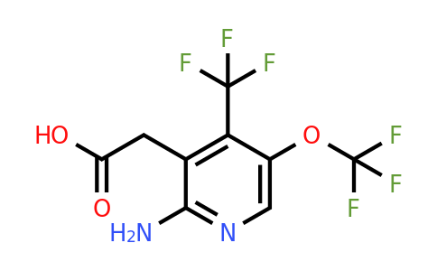 1806213-13-7 | 2-Amino-5-(trifluoromethoxy)-4-(trifluoromethyl)pyridine-3-acetic acid