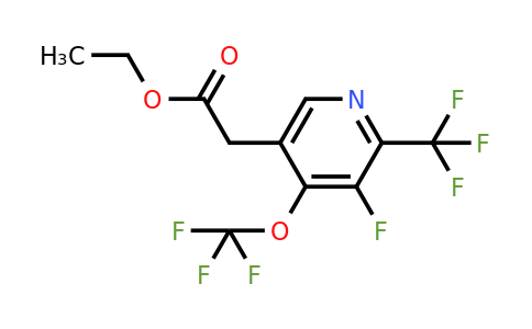 1806264-04-9 | Ethyl 3-fluoro-4-(trifluoromethoxy)-2-(trifluoromethyl)pyridine-5-acetate