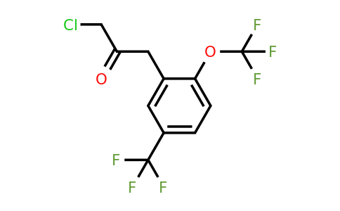 1806660-11-6 | 1-Chloro-3-(2-(trifluoromethoxy)-5-(trifluoromethyl)phenyl)propan-2-one