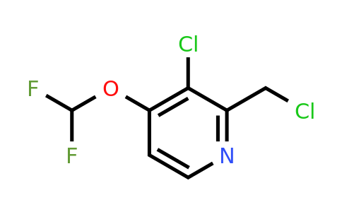 1807186-80-6 | 3-Chloro-2-chloromethyl-4-(difluoromethoxy)pyridine