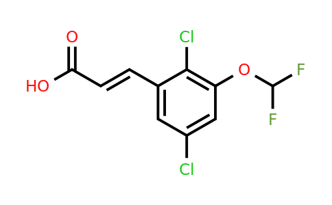1807333-74-9 | 2,5-Dichloro-3-(difluoromethoxy)cinnamic acid