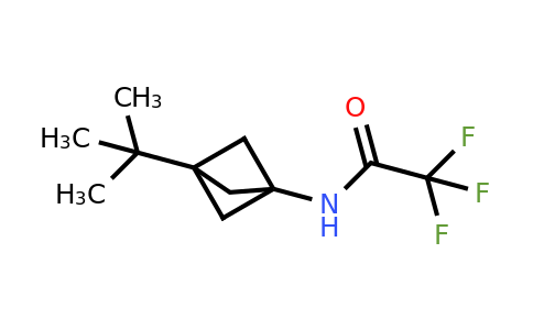1886967-03-8 | N-(3-tert-butyl-1-bicyclo[1.1.1]pentanyl)-2,2,2-trifluoro-acetamide