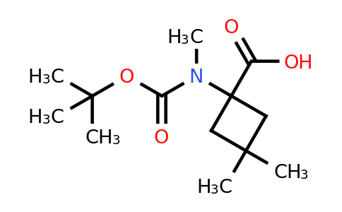 1997926-22-3 | 1-[tert-butoxycarbonyl(methyl)amino]-3,3-dimethyl-cyclobutanecarboxylic acid