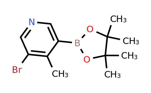 2043397-75-5 | 3-Bromo-4-methylpyridine-5-boronic acid pinacol ester
