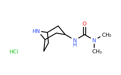 2060042-85-3 | 1-{8-azabicyclo[3.2.1]octan-3-yl}-3,3-dimethylurea hydrochloride