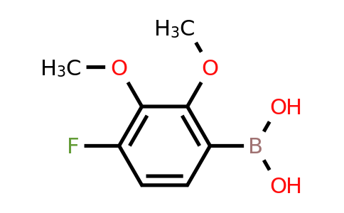 2121512-88-5 | 2,3-Dimethoxy-4-fluorophenylboronic acid