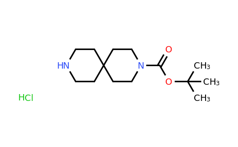 236406-47-6 | tert-Butyl 3,9-diazaspiro[5.5]undecane-3-carboxylate hydrochloride