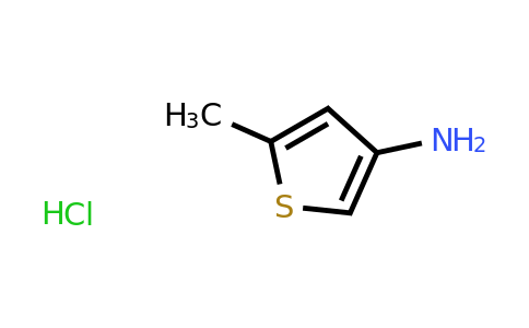 24030-01-1 | 5-Methylthiophen-3-amine hydrochloride