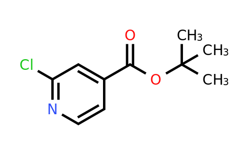 295349-62-1 | tert-butyl 2-chloropyridine-4-carboxylate