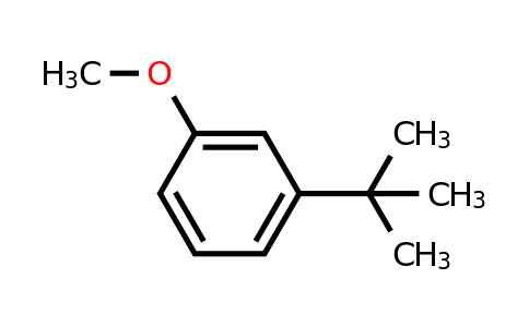 33733-83-4 | 1-(tert-Butyl)-3-methoxybenzene