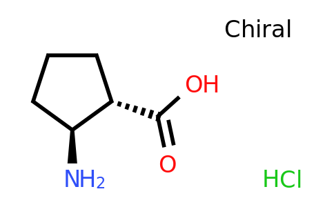 359849-58-4 | Clorhidrato del ácido (1S,2S)-(-)-2-amino-1-ciclopentanocarboxílico