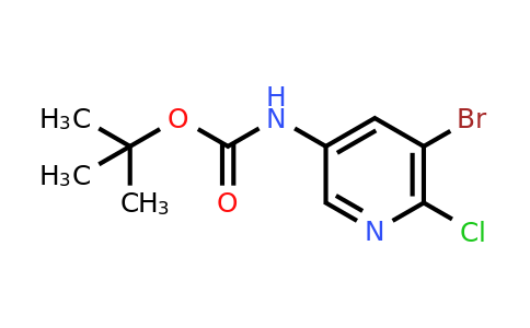 405939-59-5 | tert-Butyl (5-bromo-6-chloropyridin-3-yl)carbamate