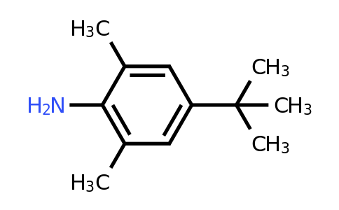 42014-60-8 | 4-(tert-Butyl)-2,6-dimethylaniline