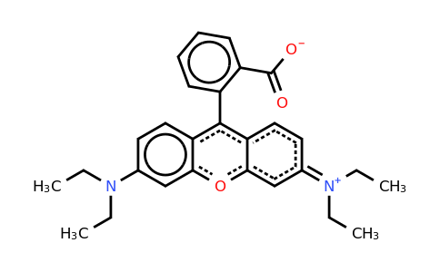 509-34-2 | Rhodamine B base