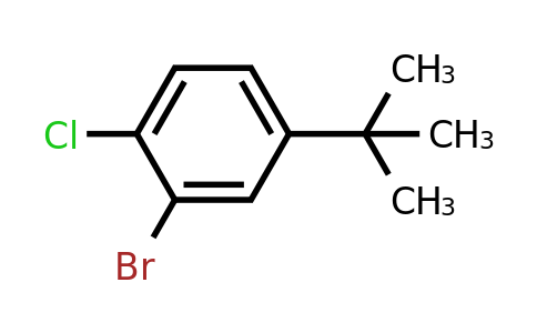 61024-95-1 | 2-Bromo-4-tert-butyl-1-chlorobenzene