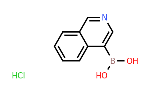 677702-23-7 | Isoquinolin-4-ylboronic acid hydrochloride