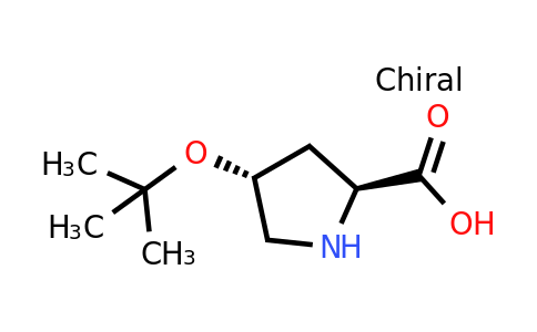 79775-07-8 | O-tert-Butyl-L-trans-4-hydroxyproline