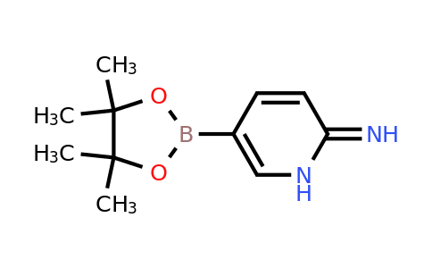 827614-64-2 | 6-Aminopyridine-3-boronic acid pinacol ester