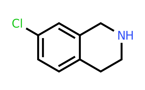 82771-60-6 | 7-Chloro-1,2,3,4-tetrahydroisoquinoline