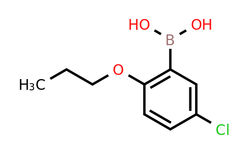 849062-29-9 | (5-Chloro-2-propoxyphenyl)boronic acid