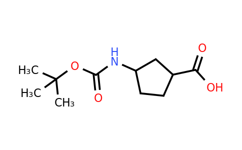 855863-93-3 | N-Boc-3-Aminocyclopentanecarboxylic acid