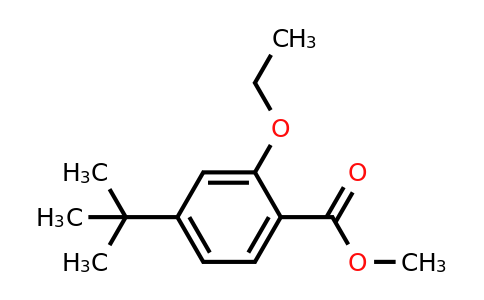 870007-39-9 | 4-tert-Butyl-2-ethoxy-benzoic acid methyl ester