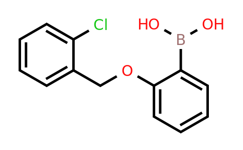 870777-21-2 | (2-((2-Chlorobenzyl)oxy)phenyl)boronic acid