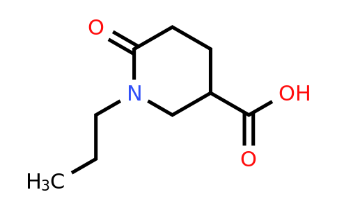 915924-93-5 | 6-Oxo-1-propylpiperidine-3-carboxylic acid