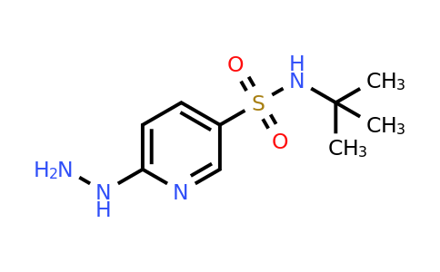 926262-36-4 | N-tert-Butyl-6-hydrazinylpyridine-3-sulfonamide