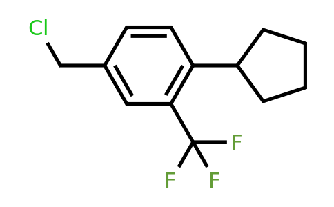 957208-65-0 | 4-Chloromethyl-1-cyclopentyl-2-trifluoromethyl-benzene
