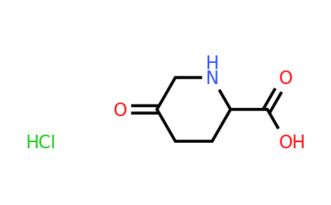 99980-20-8 | 5-oxopiperidine-2-carboxylic acid Hydrochloride