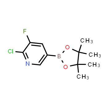 1073312-28-3 | 2-cloro-3-fluoro-5-(4,4,5,5-tetrametil-1,3,2-dioxaborolan-2-il)piridina