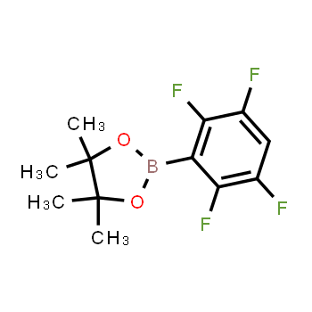1073339-11-3 | 4,4,5,5-tetrametil-2-(2,3,5,6-tetrafluorofenil)-1,3,2-dioxaborolano