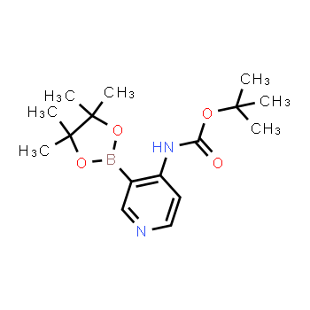 1073354-02-5 | (3-(4,4,5,5-tetrametil-1,3,2-dioxaborolan-2-il)piridin-4-il)carbamato de terc-butilo