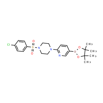 1073354-20-7 | 1-(4-clorofenilsulfonil)-4-(5-(4,4,5,5-tetrametil-1,3,2-dioxaborolan-2-il)piridin-2-il)piperazina