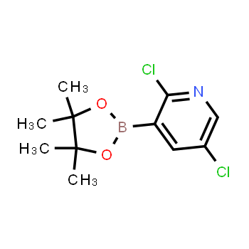 1073371-98-8 | 2,5-dicloro-3-(4,4,5,5-tetrametil-1,3,2-dioxaborolan-2-il)piridina