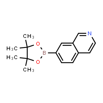 1082947-07-6 | 7-(4,4,5,5-tetrametil-1,3,2-dioxaborolan-2-il)isoquinolina