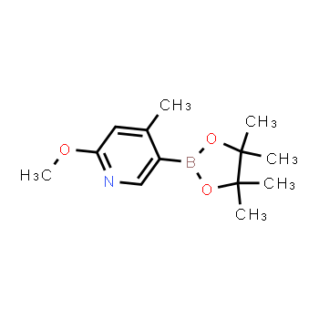 1093951-66-6 | 2-metoxi-4-metil-5-(4,4,5,5-tetrametil-1,3,2-dioxaborolan-2-il)piridina
