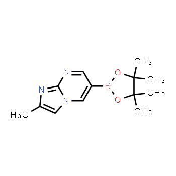 1111638-06-2 | 2-metil-6-(4,4,5,5-tetrametil-1,3,2-dioxaborolan-2-il)imidazo[1,2-a]pirimidina