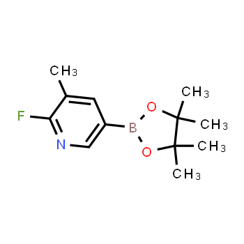 1150561-71-9 | 2-fluoro-3-metil-5-(4,4,5,5-tetrametil-1,3,2-dioxaborolan-2-il)piridina