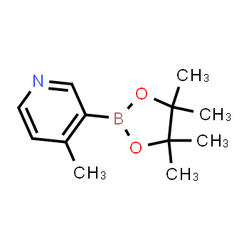 1171891-31-8 | 4-metil-3-(4,4,5,5-tetrametil-1,3,2-dioxaborolan-2-il)piridina