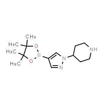 1175708-03-8 | 4-(4-(4,4,5,5-tetrametil-1,3,2-dioxaborolan-2-il)-1H-pirazol-1-il)piperidina