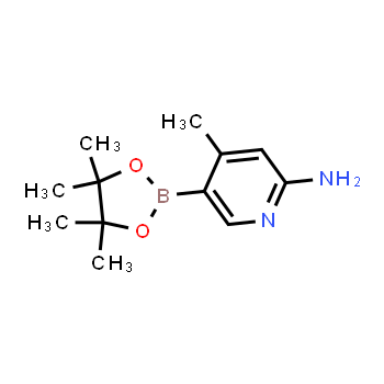 1220219-94-2 | 4-metil-5-(4,4,5,5-tetrametil-1,3,2-dioxaborolan-2-il)piridin-2-amina