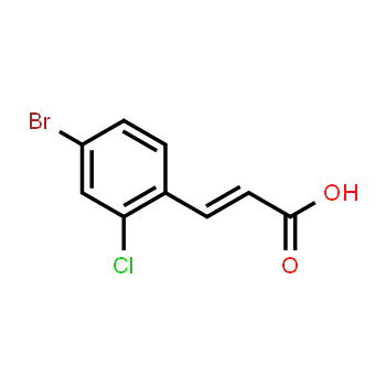 1233055-24-7 | Ácido 4-bromo-2-clorocinámico