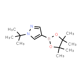 1256359-15-5 | 1-(terc-butil)-4-(4,4,5,5-tetrametil-1,3,2-dioxaborolan-2-il)-1H-pirazol