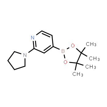 1259445-03-8 | 2-(pirrolidin-1-il)-4-(4,4,5,5-tetrametil-1,3,2-dioxaborolan-2-il)piridina