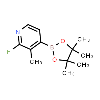 1310383-57-3 | 2-fluoro-3-metil-4-(4,4,5,5-tetrametil-1,3,2-dioxaborolan-2-il)piridina